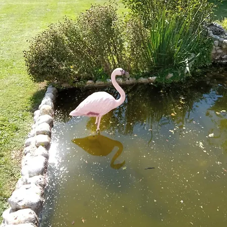 Apartamento Repos Et Tranquillite P